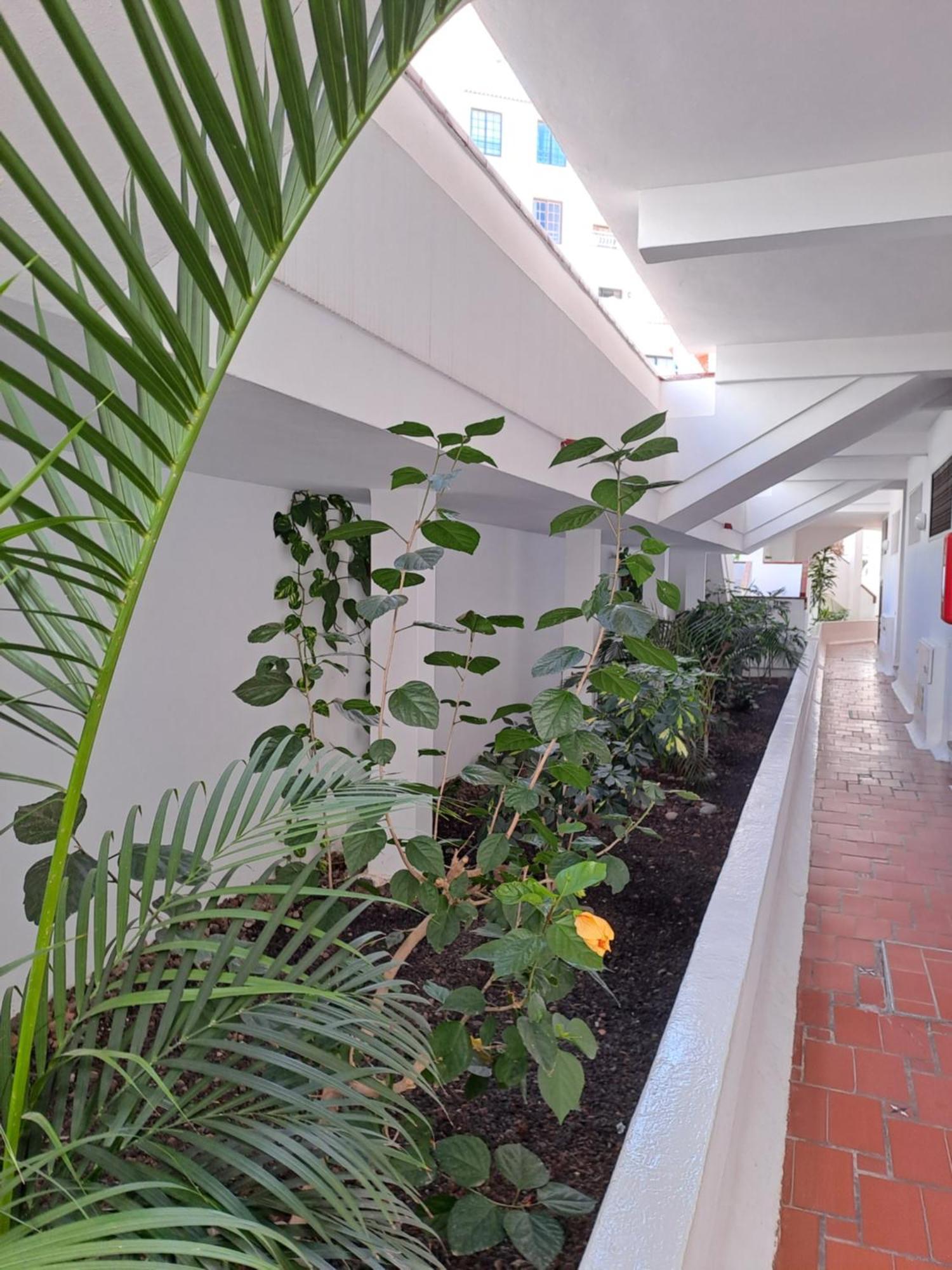 Ancora Home, Los Diamantes, Tenerife Los Cristianos  Extérieur photo